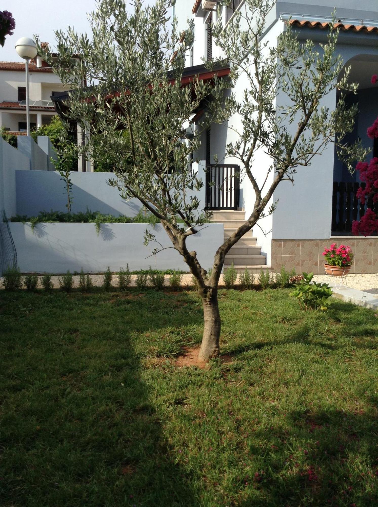The Blue House Apartman Vinkuran Kültér fotó